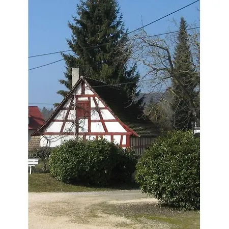 Beech Modern Retreat * Hodingen