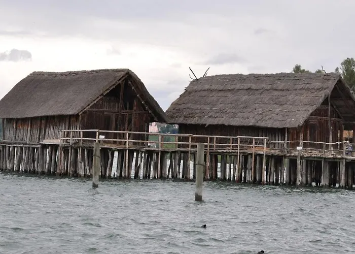 Hébergement de vacances Beech Modern Retreat