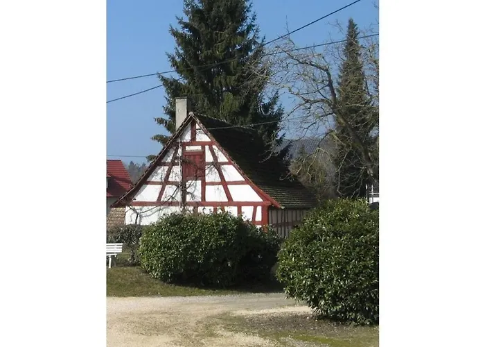 Beech Modern Retreat * Hodingen