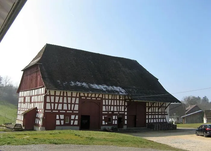 Beech Modern Retreat Hébergement de vacances Hodingen